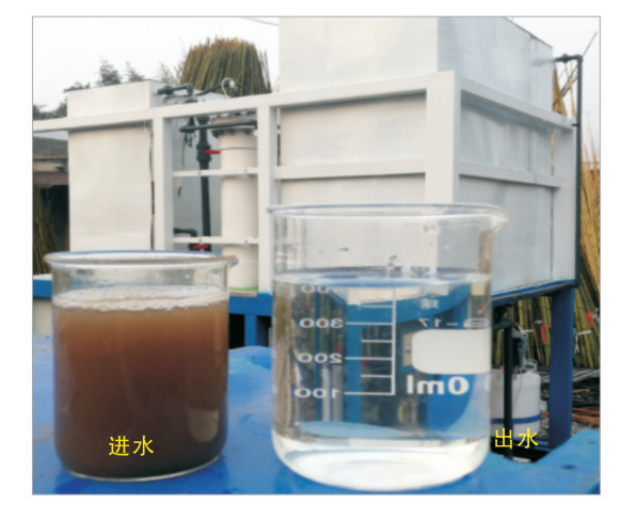 高浓度竹木加工废水处理装置